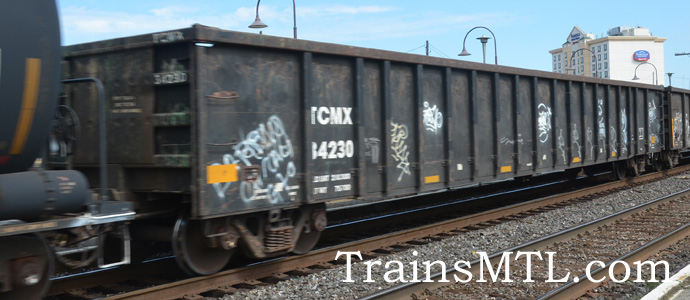 Car/wagon TCMX34230 left side / coté gauche